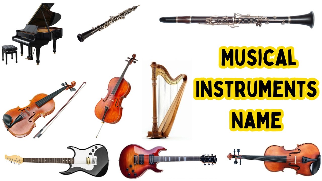 List of Musical Instruments ll 15 Musical Instruments Names in English With Pictures