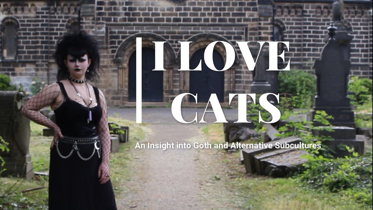 I Love Cats: An Insight in to Goth and Alternative Subcultures (2023)