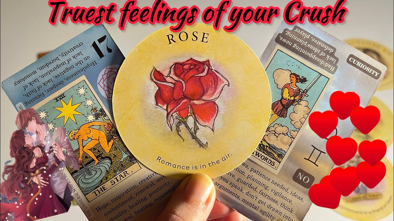 Crush Energy 🌹Their Truest Feelings for You...❤️🗝 💞LOVE READING | Hindi tarot card