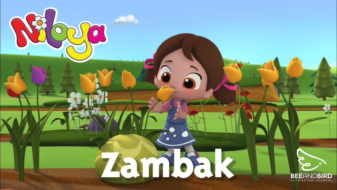 Niloya - Zambak