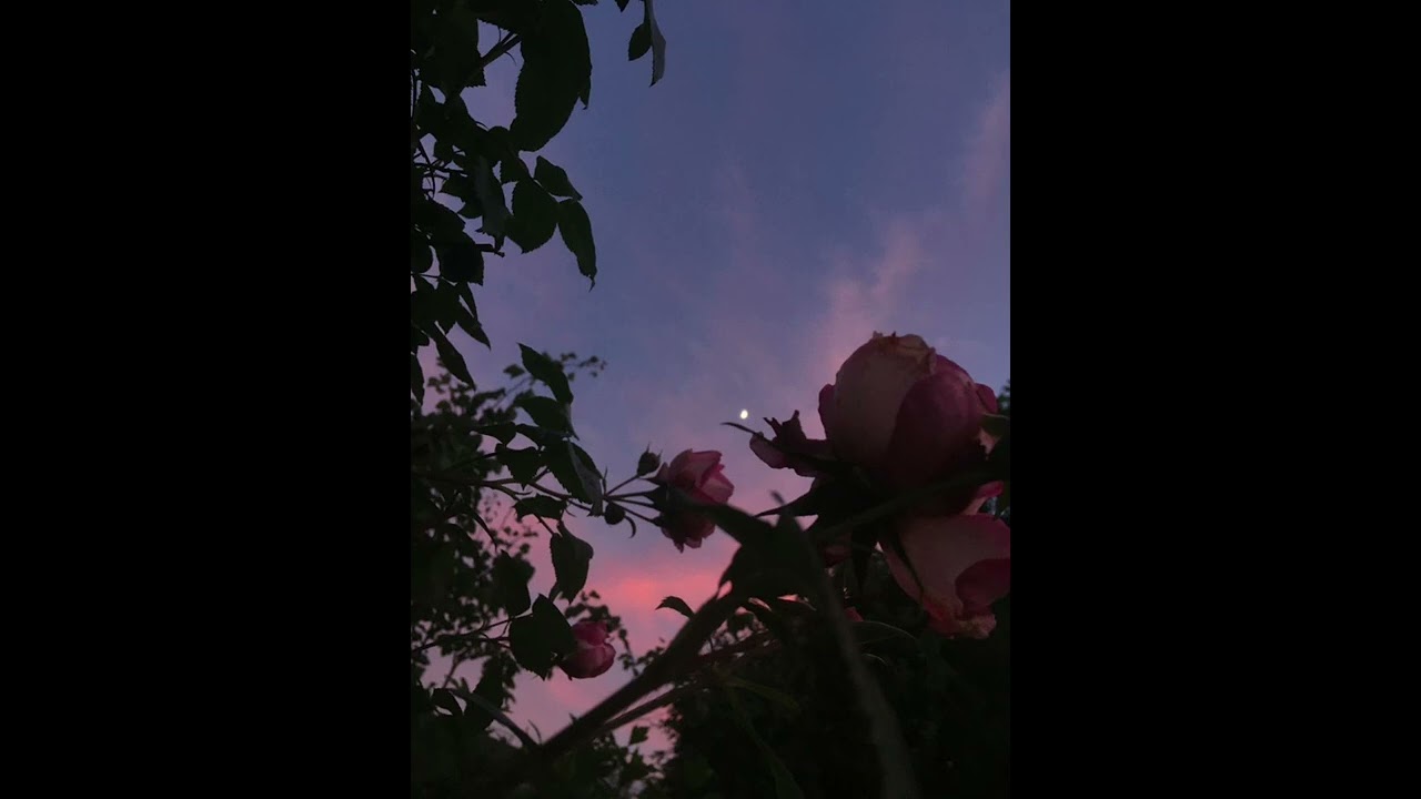 Keshi × raph type beat 