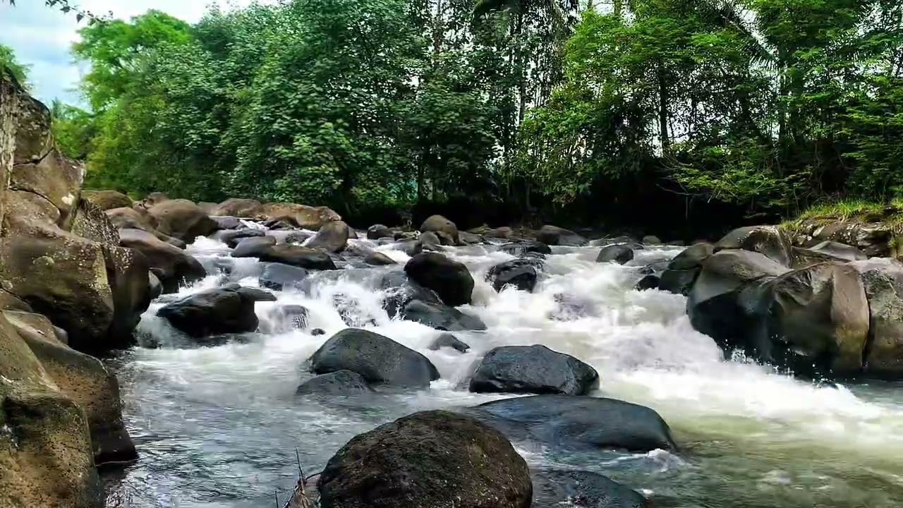 Soft River Stream ASMR | Relaxing and Meditative