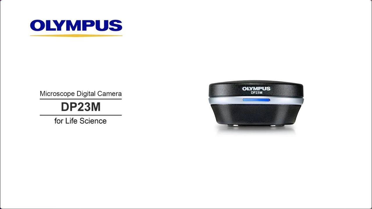 Microscope Digital Camera DP23M for Life Science