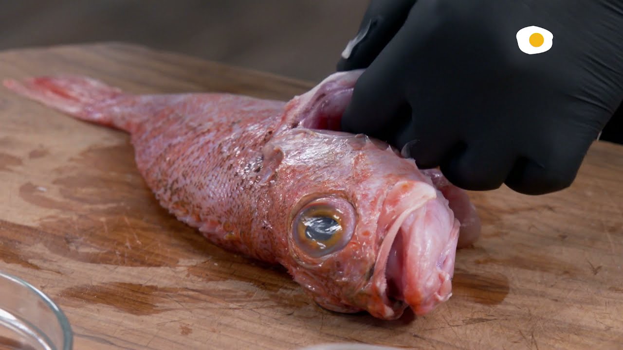 C&Oacute;MO LIMPIAR UN CABRACHO I ESCUELA CANAL COCINA