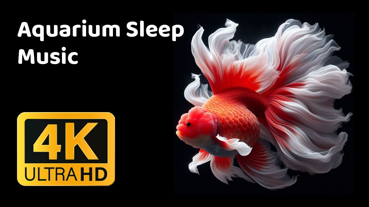 Aquarium Sleep Music 🐠 Deep Relaxing Fish Tank Ambience for Stress Relief & Deep Sleep