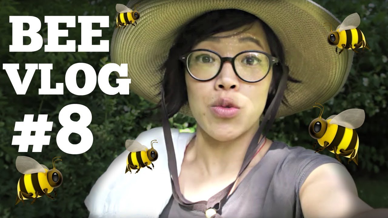 Bee Vlog #8 | First Year of Bee keeping WEEK 8 | 6/5/2017