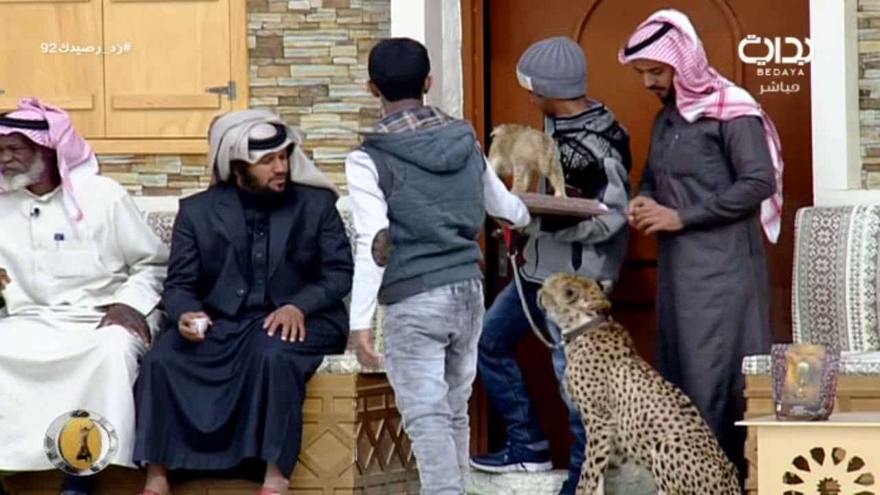 حيوان الشيتا ـ ماجد الصالحي | #زد_رصيدك92