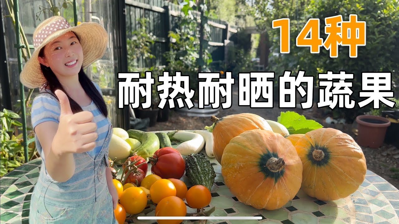 【种植68】14种耐热又耐晒的蔬菜水果，第一名原来是它！炎炎烈日也能丰收！14 heat-resistant vegetables and fruits can grow in full sun