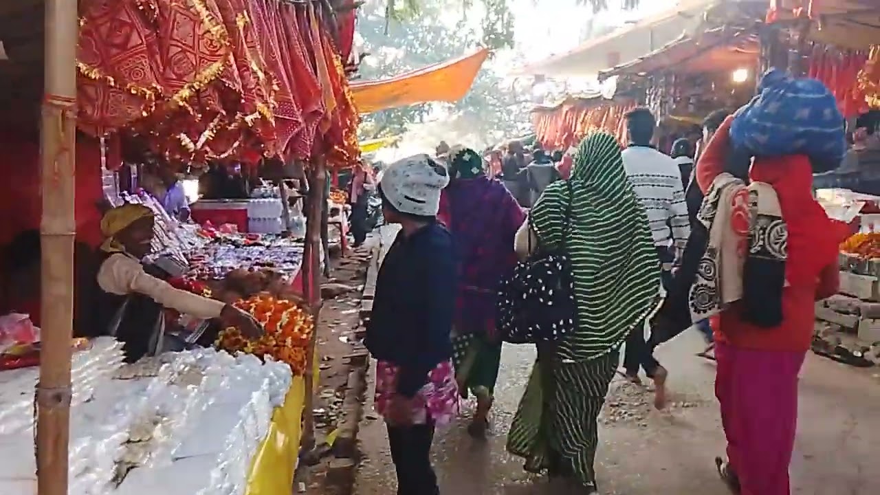 🙏🙏 महाशिवरात्रि के दिन कोटारनाथ का नजारा 🙏🙏