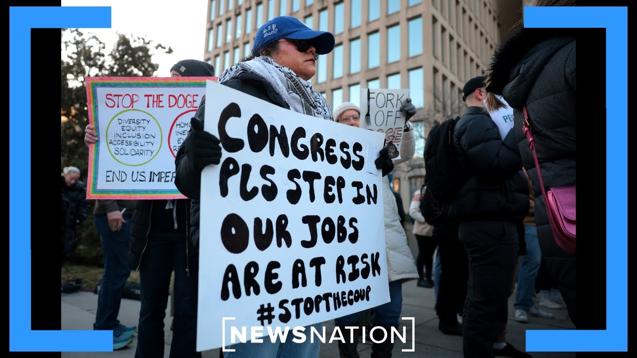 Elon Musk's ask of federal workers 'a great idea': Rep. Tim Burchett | Morning in America
