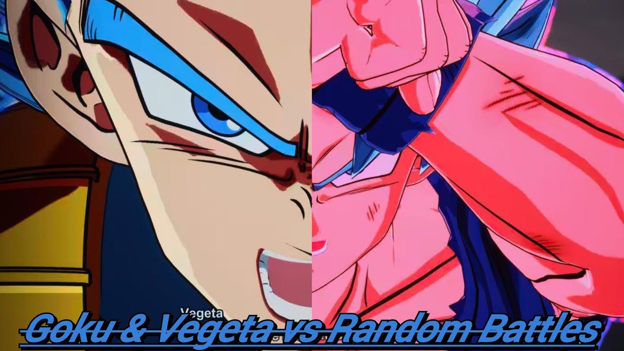 Goku & Vegeta vs Random Battles (DRAGON BALL: Sparking! ZERO)