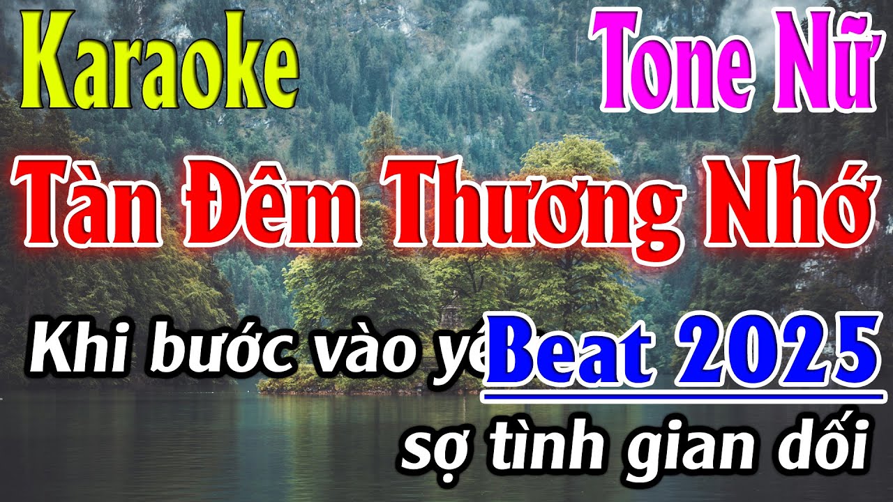 Tàn Đêm Thương Nhớ Karaoke Tone Nữ ( Am ) Karaoke Lâm Organ