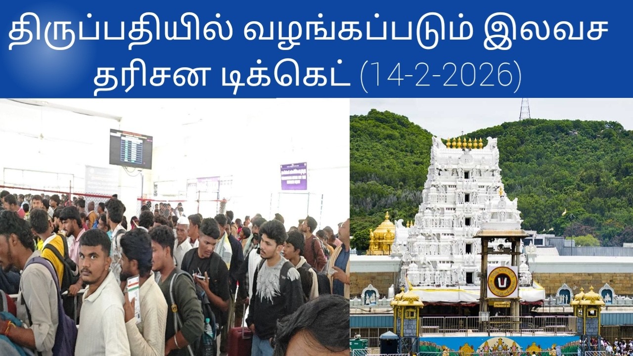 Tirupati updates today tamil | (14-2-2026)#tirupati