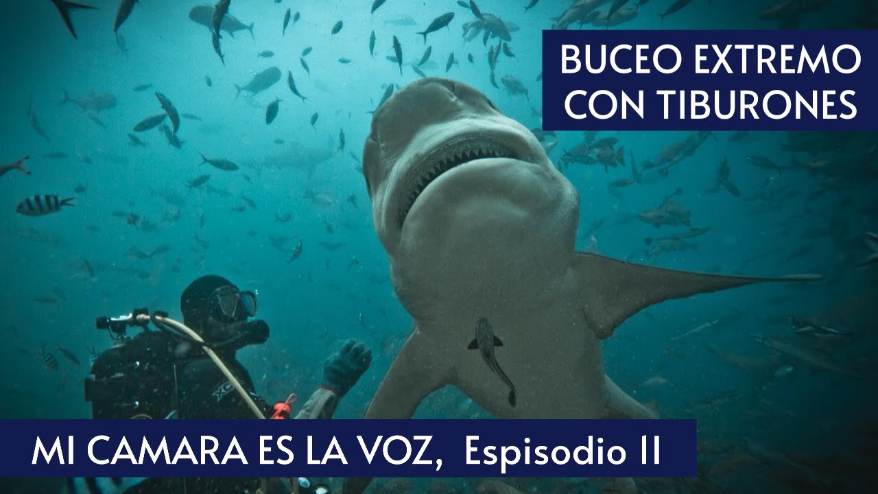 Buceo EXTREMO con TIBURONES, Islas Fiji. Mi C&aacute;mara es la Voz, Episodio II