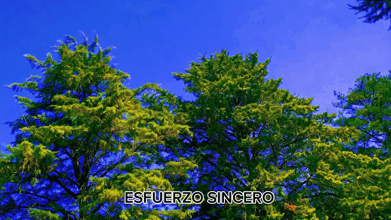 ESFUERZO SINCERO FT LAUTAA424(VIDEO OFFICIAL))