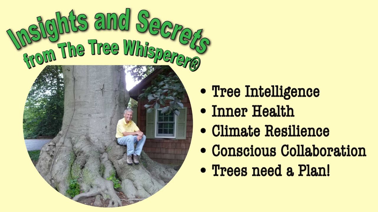 The Tree Whisperer, Dr. Jim Conroy, Reveals His Tree Healing Secrets