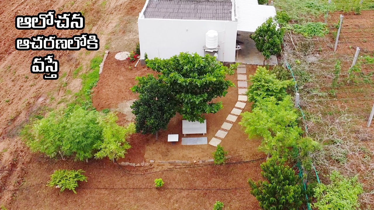 ఆలోచన ఆచరణలోకి వస్తే||Simple Backyard makeover||B Like Bindu