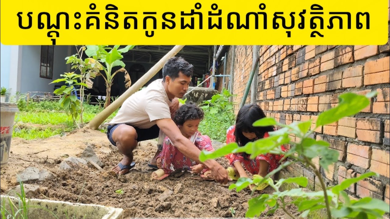 Ep42: ដាំបន្លែក្បែរផ្ទះ - Growing Vegetables 