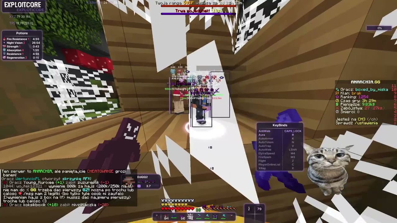 dominacja anarchia.gg😨│CONFIG W BIO⚙️│najlepszy free config thunderhack👀