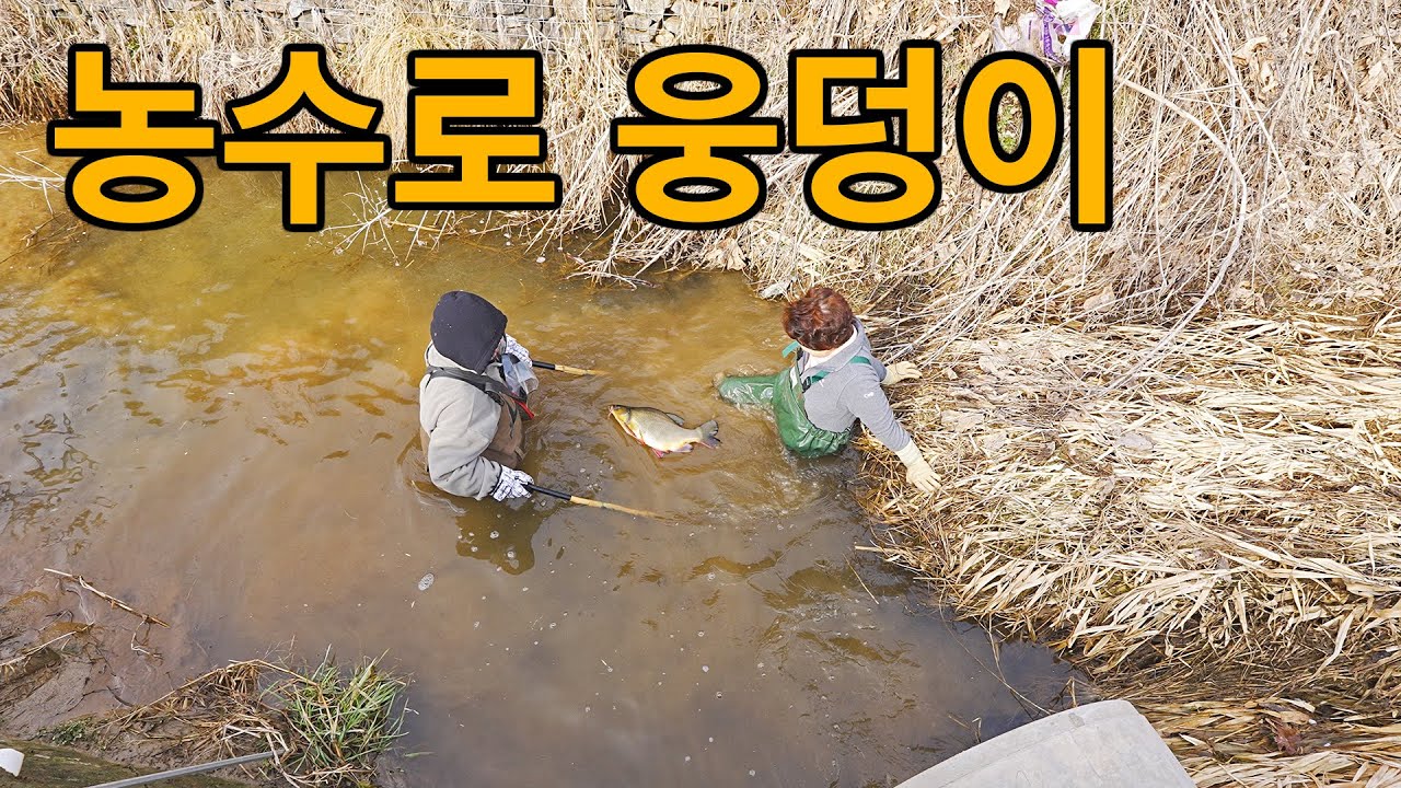 농수로 웅덩이를 발로 밟으면 뭐가 나올까!?