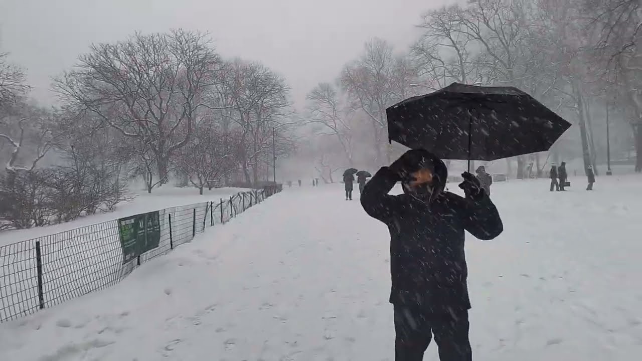 Central Park NYC, experiencing the Snow Storm