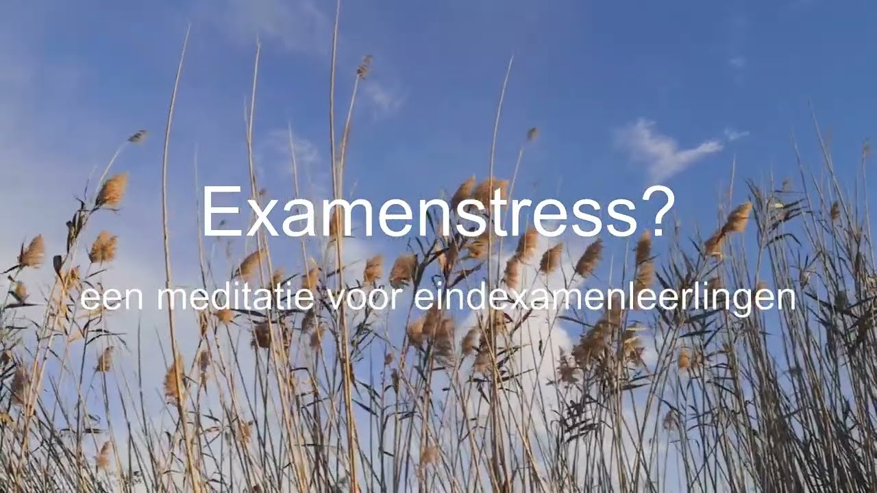 Rust en Vertrouwen – 10 minuten meditatie voor eindexamenstress