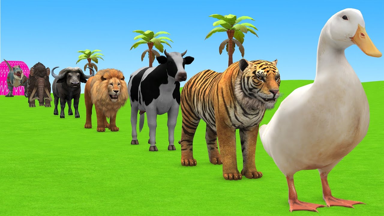 Long Slide Game with Cow Elephant Gorilla Hippopotamus Tiger 3d Animal Game Funny 3d Animals