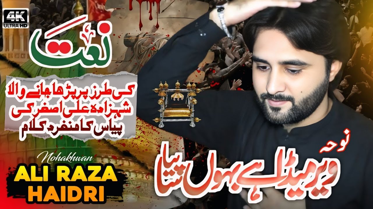 Noha || Veer Maida Hai Bahoo Piyasa || Ali Raza Haidri || Nohay 2025