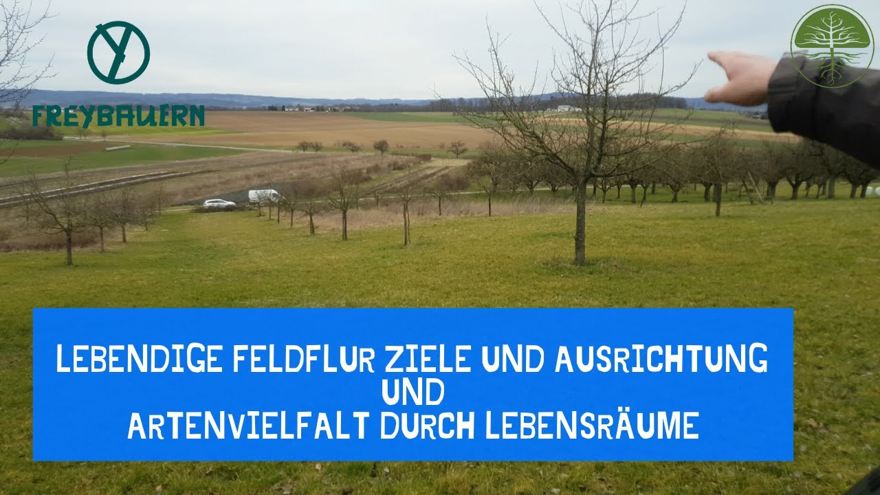 Lebendige Feldflur Ziele und Ausrichtung | Artenvielfalt durch Lebensräume | Freybauern (2020)