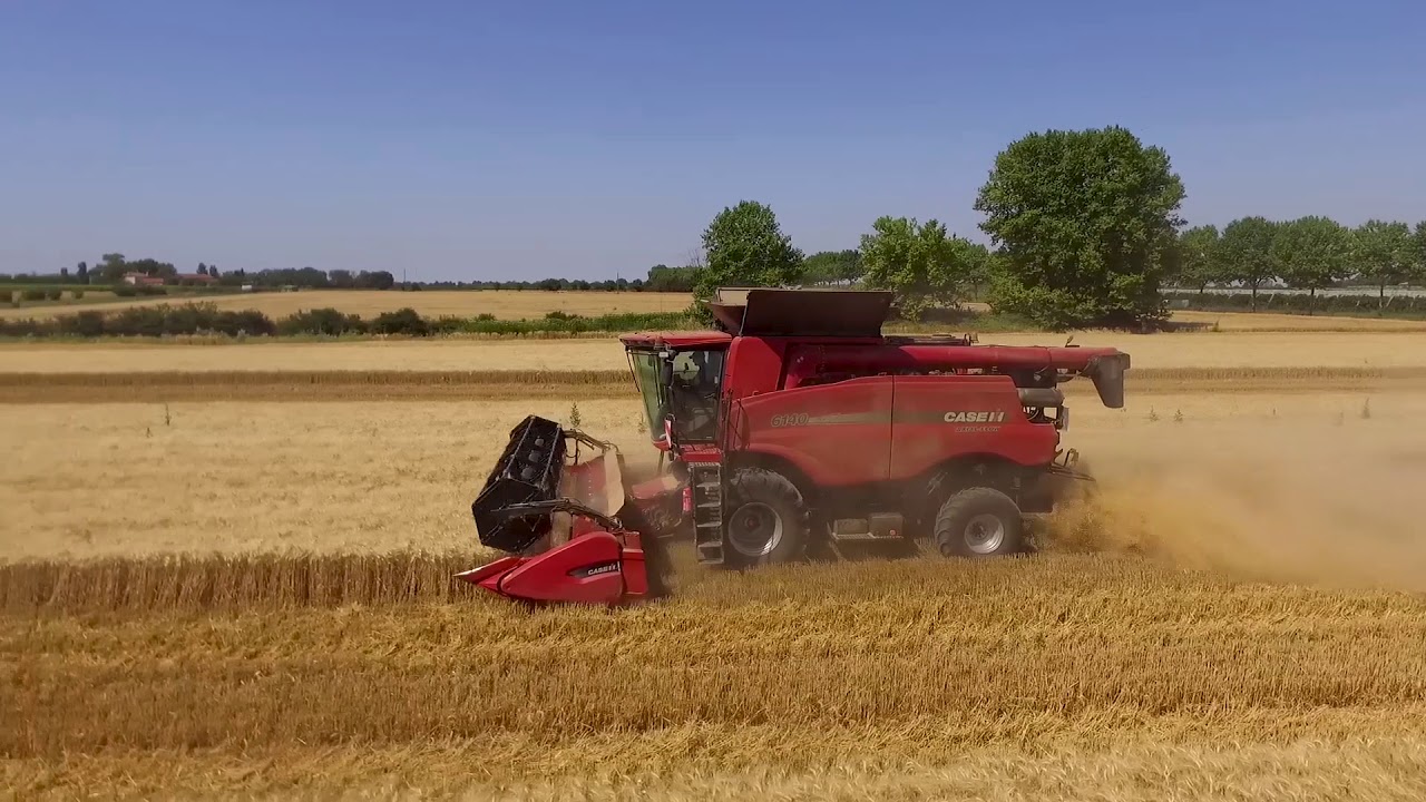 Moisson de Blé dur 2018 avec une Case AXIAL-FLOW 6140 et sa barre de coupe de 6m70