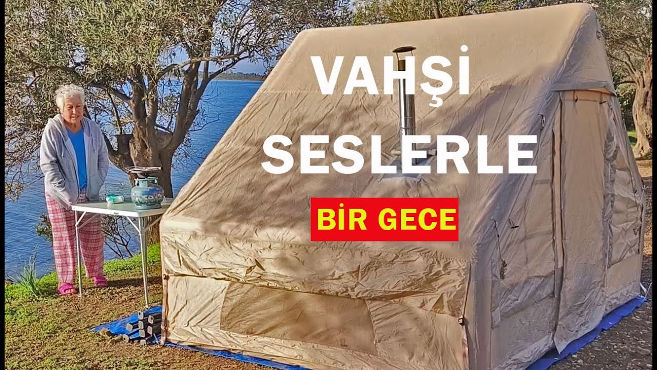 Gece Boyu Vahşi Sesler! Deniz Kenarında Macera Dolu Kamp