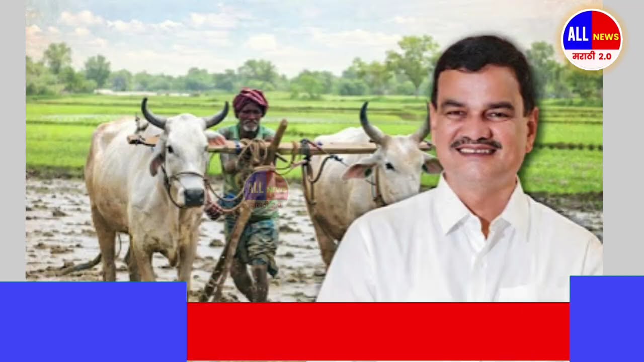 शेतकऱ्यांसाठी आज 11 मार्च ठळक बातम्या | पिक विमा नमो शेतकरी | Namo shetkari | Pm kisan | pik vima