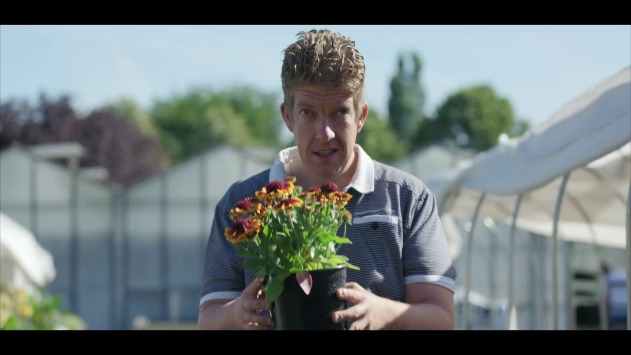 Dagbesteding bij ASVZ | Tuin en Houtzagerij
