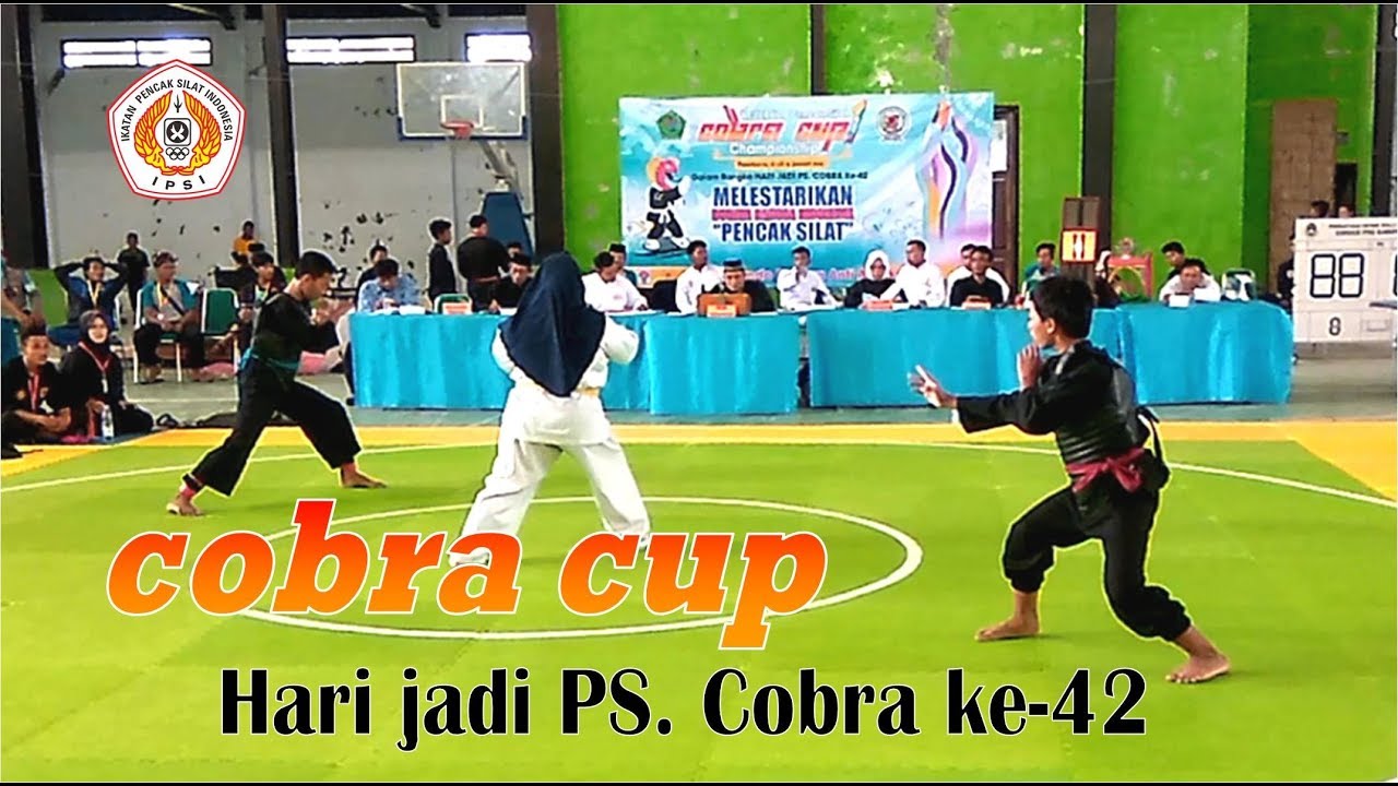 COBRA CUP PS.COBRA GOR NYALARAN PAMEKASAN