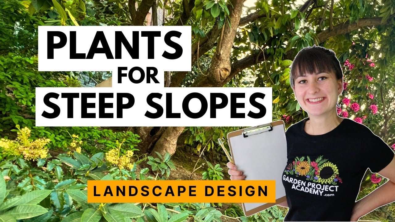 What to plant on a steep slope 🪴 How to design a garden on a hill