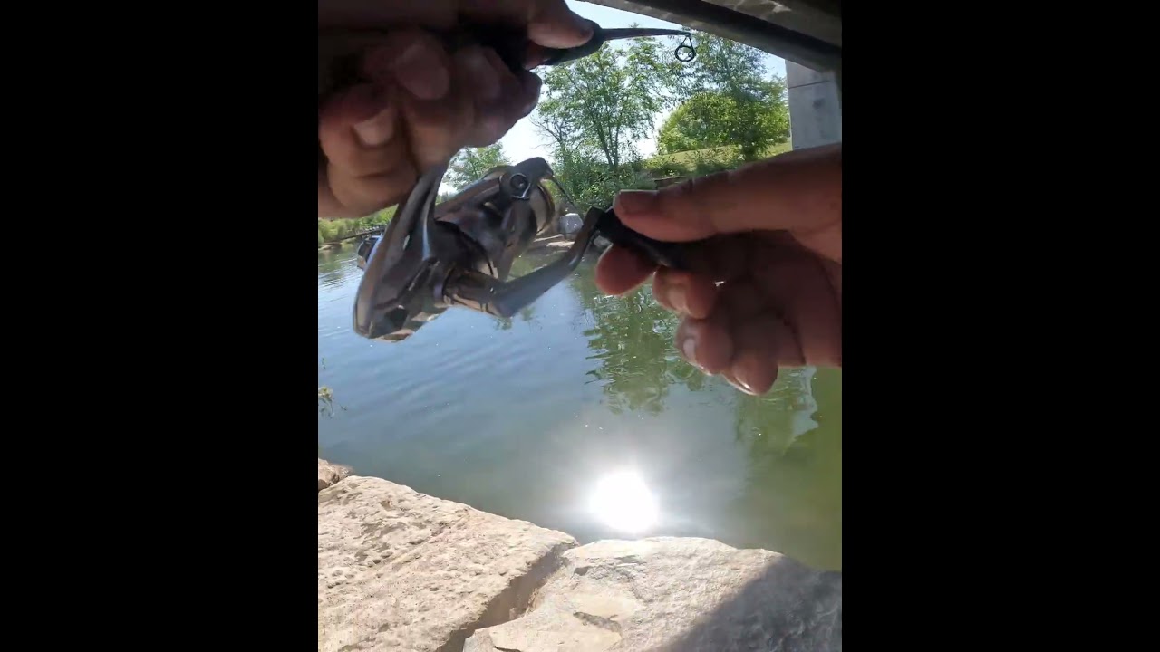 Another Giant Trout!!! #recommended #youtubeshorts #trending #troutfishing #rainbowtrout