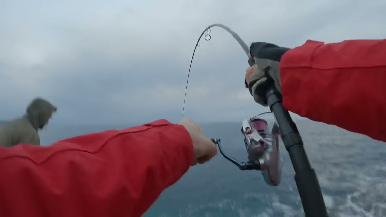 Shore Jigging | lost amberjack