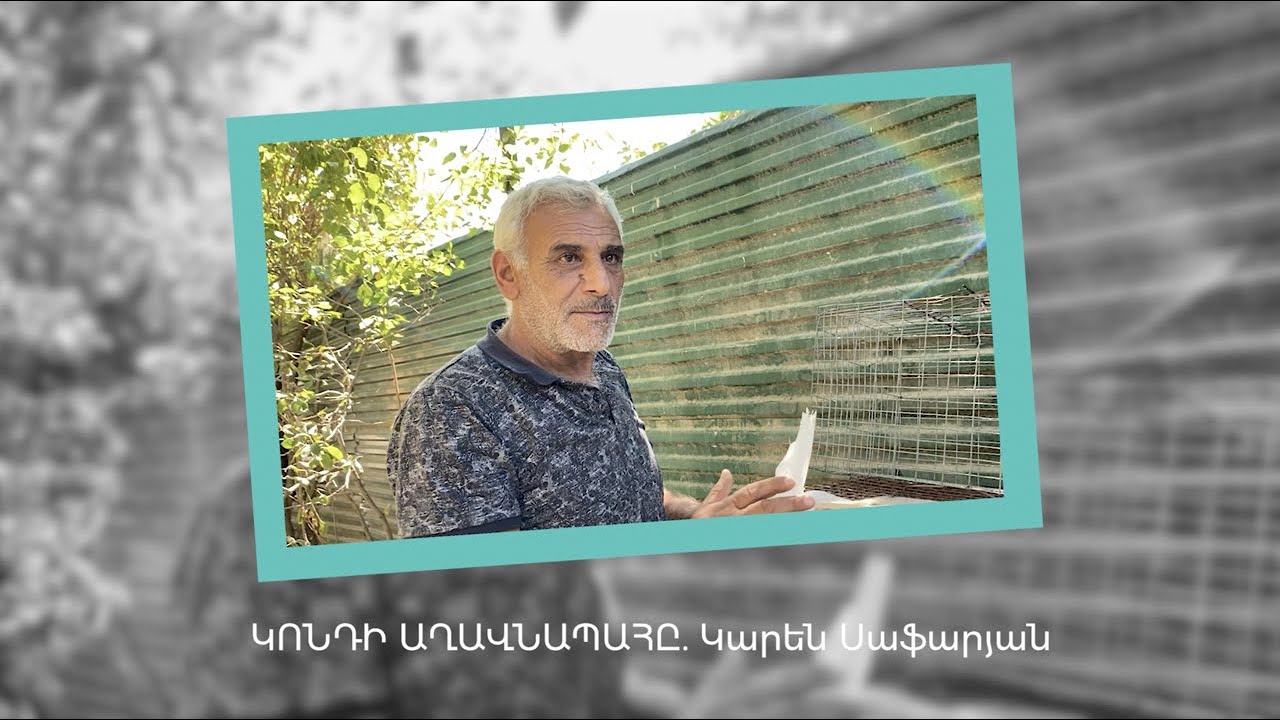Կոնդի աղավնապահը. Կարեն Սաֆարյան