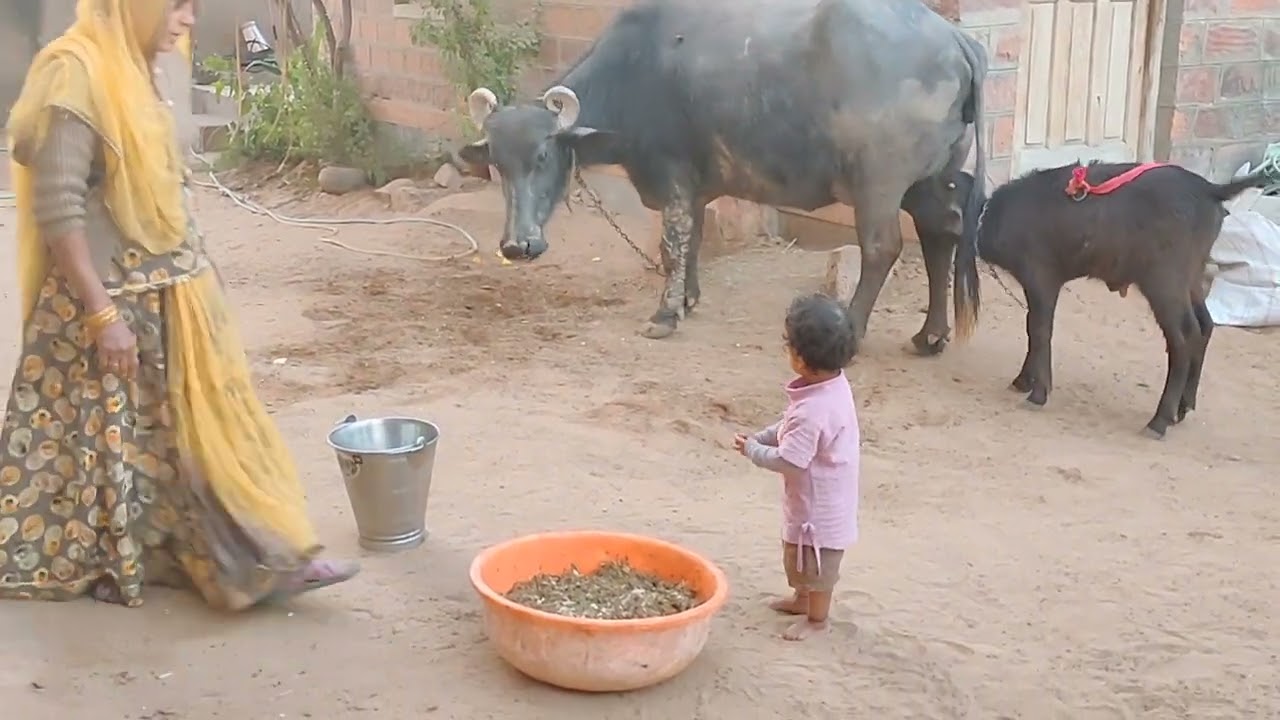 chiku ki masti