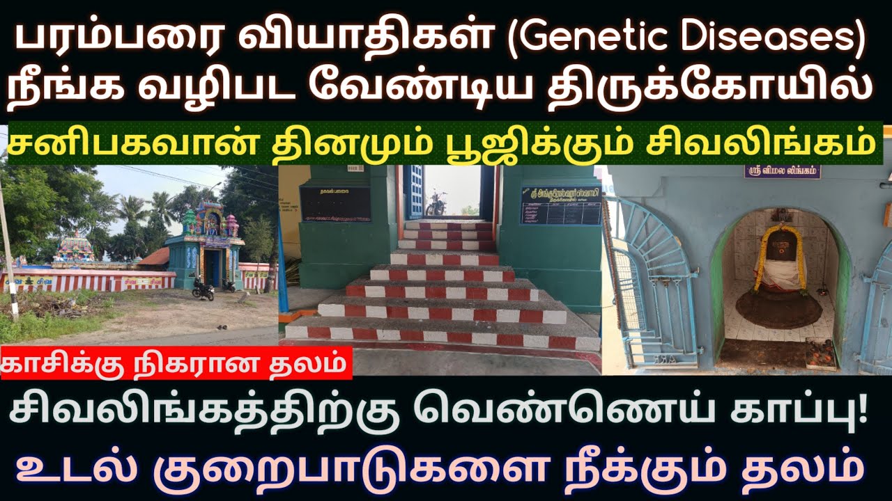சனிபகவான் தினமும் வழிபடும் ஆதிகுடி அங்குரேஸ்வரர் கோயில் உடல் குறைபாடுகள் நீங்க வழிபட வேண்டிய தலம்