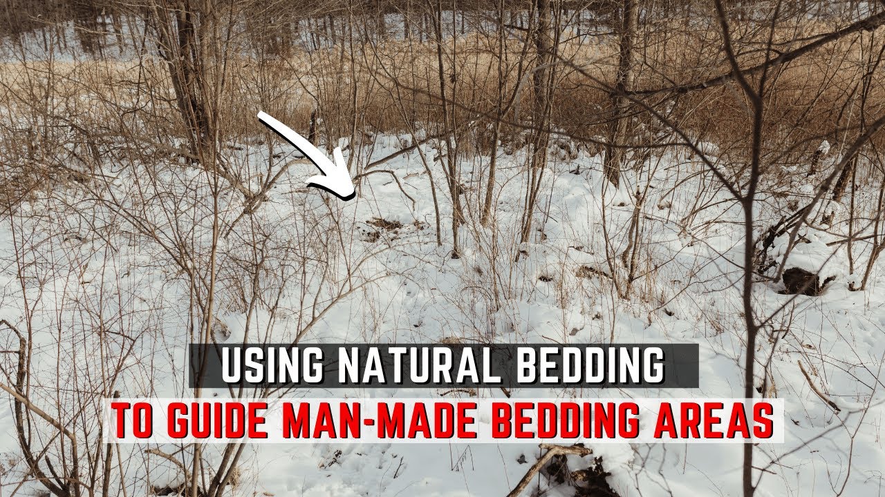 Using Natural Bedding Locations As A Guide For Man-Made Bedding Areas