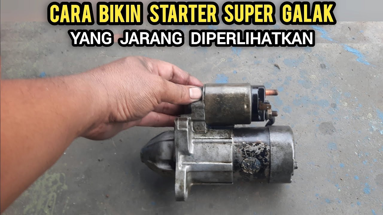 CARA BIKIN STARTER JADI GALAK 