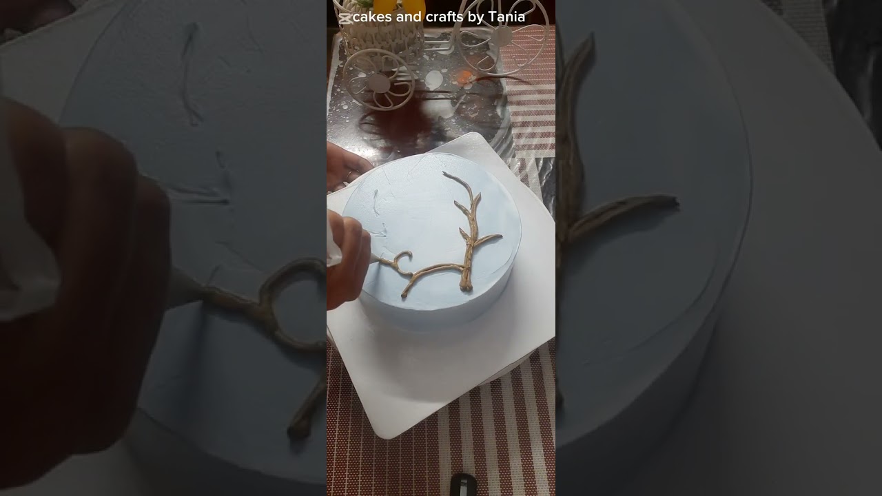 ভ্যানিলা ফ্লেভারের স্পঞ্জ কেক ডিজাইন 🍰🎂🥰