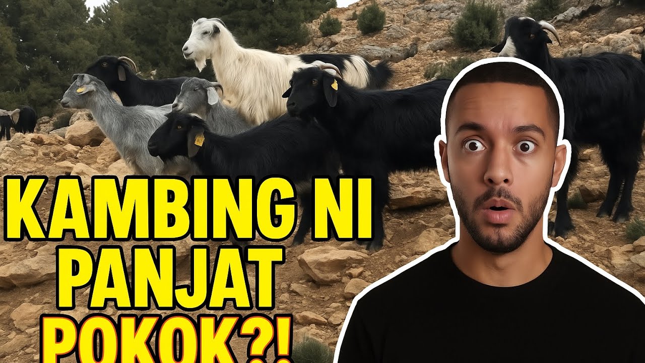 10 Fakta Pelik Tapi Benar Tentang Dunia! (Yang Ke-7 Tu Gila!)