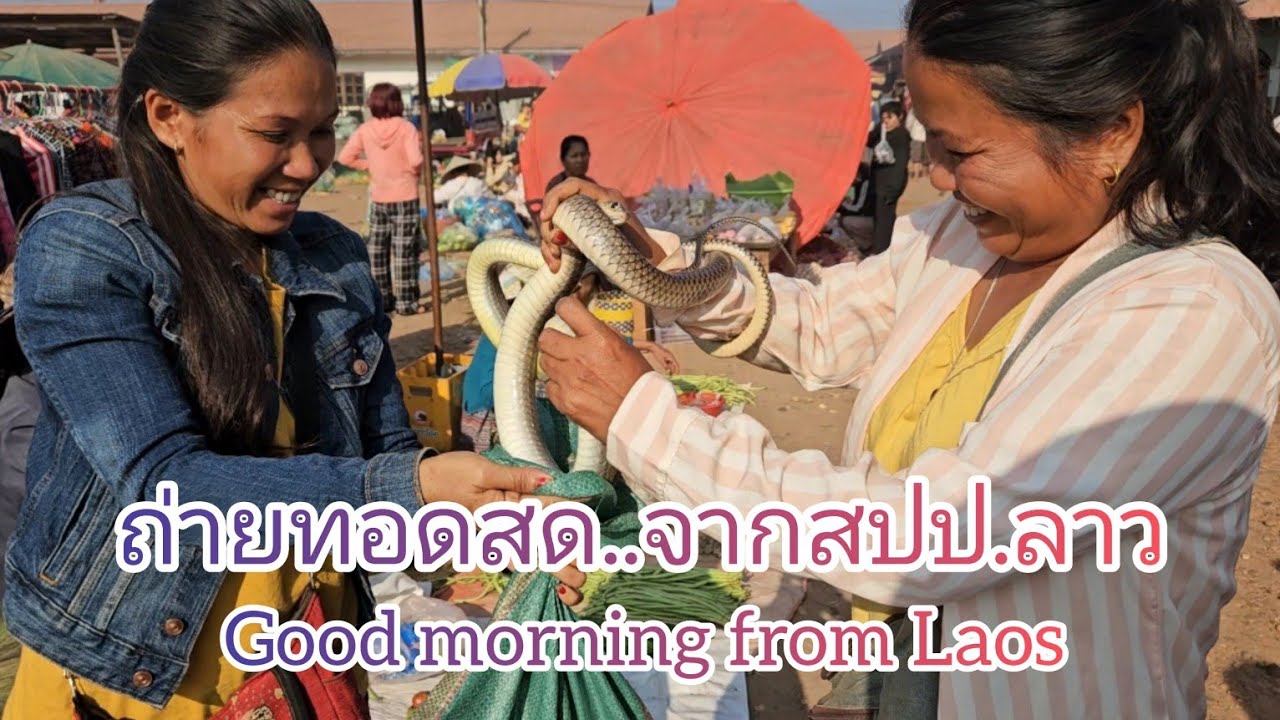 ถ่ายทอดสด!! ตลาดนัดวิถีลาวใต้ ตลาดนัดใหญ่ในลาวใต้ บ้านดอนตะลาด แขวงจำปาสัก#สปปลาว #เที่ยวลาวใต้#งู