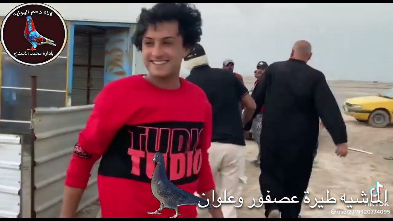 تحكيمة علي عصفور الماشيه بنت اسود ستار ويستاهل عصفور وعلوان