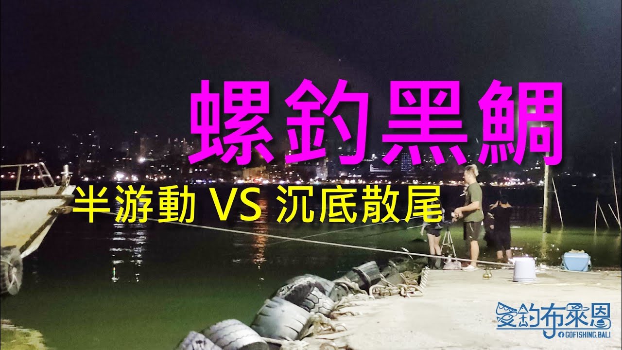 誰說用金寶螺釣黑鯛只能用浮標(半游動)?! 沉底散尾也可以釣的