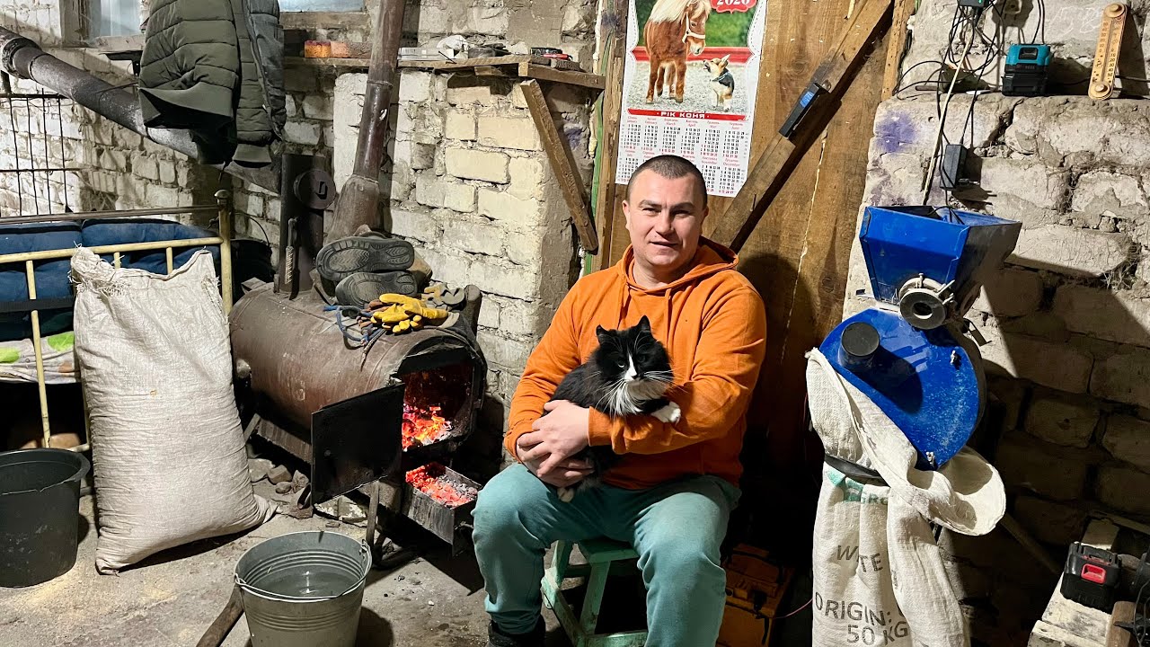 Володьке понравилось! Котят больше не будет…