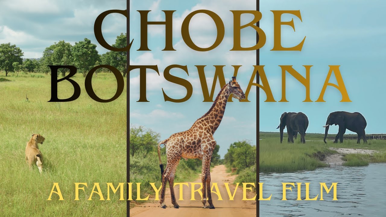 Chobe National Park Safari | Elephants, Lions & River Wildlife from Botswana