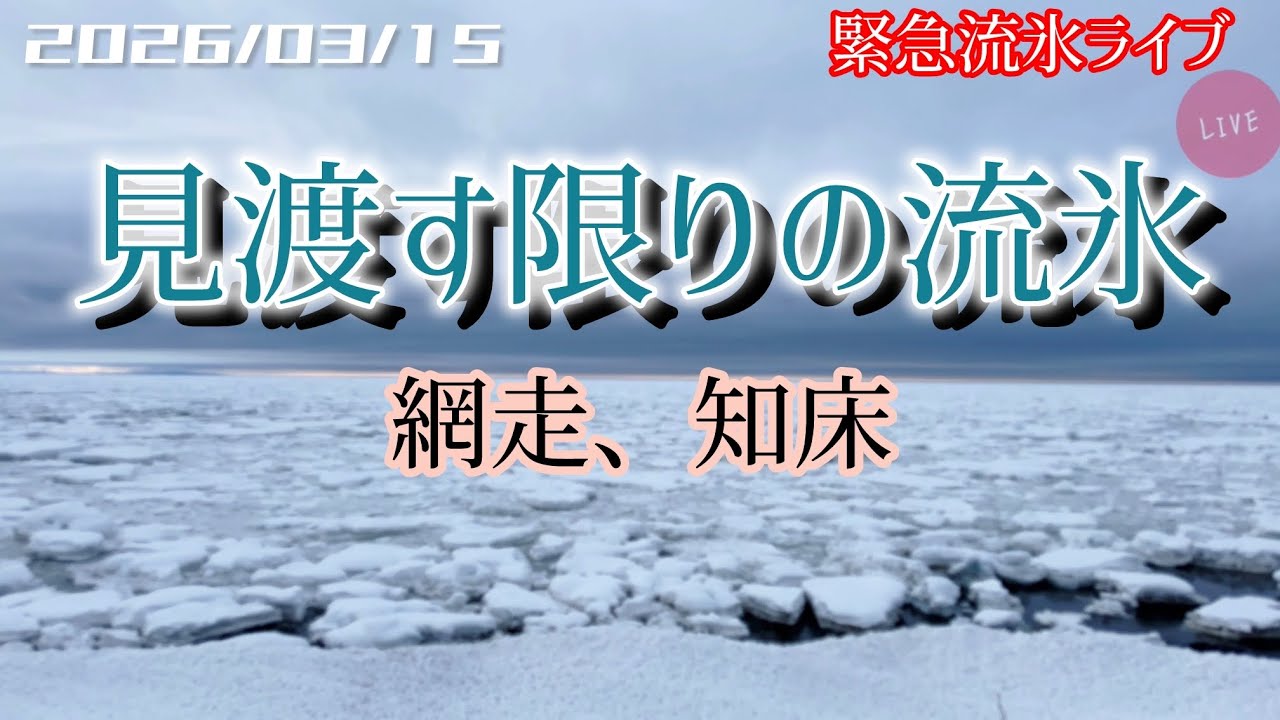 【緊急流氷ライブ】2速 網走から知床さ行く 北海道をリアルタイムで一緒にドライブ気分♪
